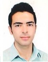 آقای حامد حسینیان